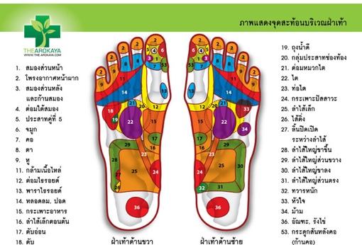 การนวดกดจุดสะท้อนบริเวณฝ่าเท้า